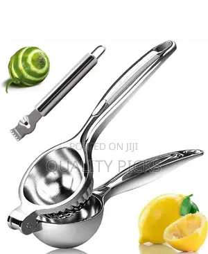 Steel Lemon Citrus Press