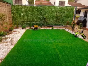 Grass Carpet Grass Carpet Grass Carpet
