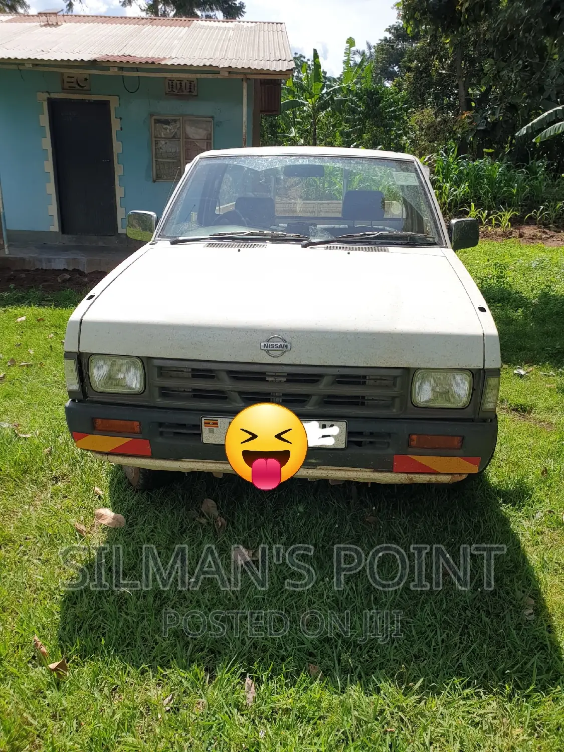 Pickup Available for Hire for Light and Heavy Goods