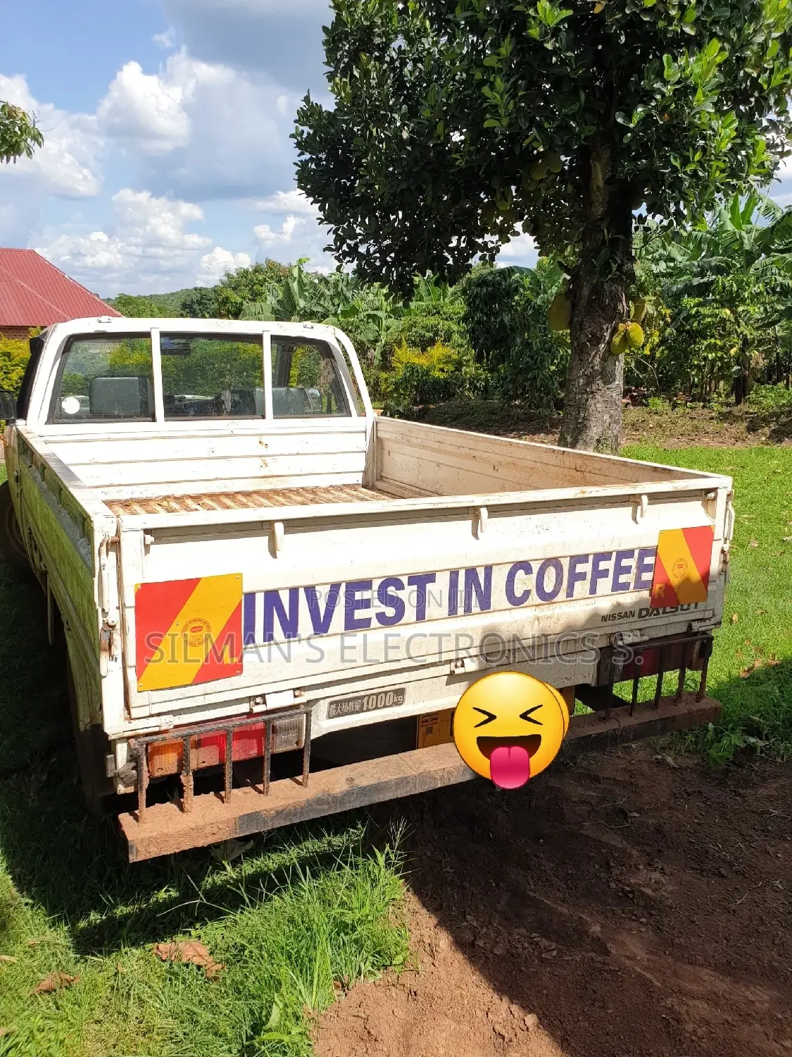 Pickup Available for Hire for Light and Heavy Goods