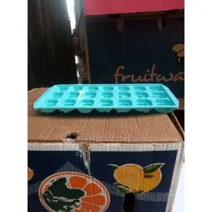 Ice Mold Tray