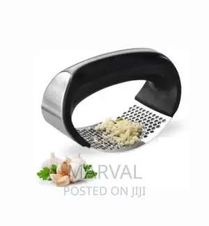 Stainless Steel Garlic Presser |Garlic Press