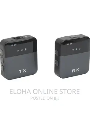 SX 89 Wireless Microphone
