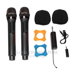 Professional Universal Wireless Microphone
