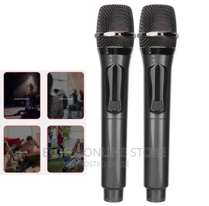 Professional Universal Wireless Microphone