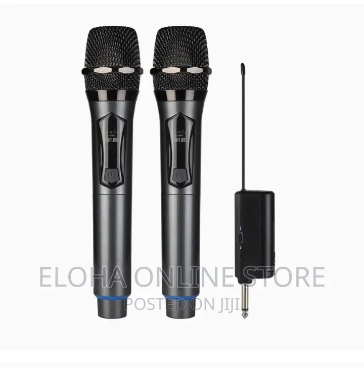 Professional Universal Wireless Microphone