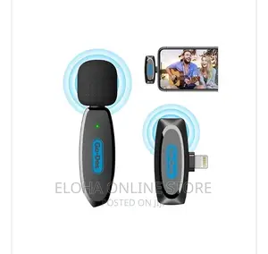 GO-DES Wireless Microphone
