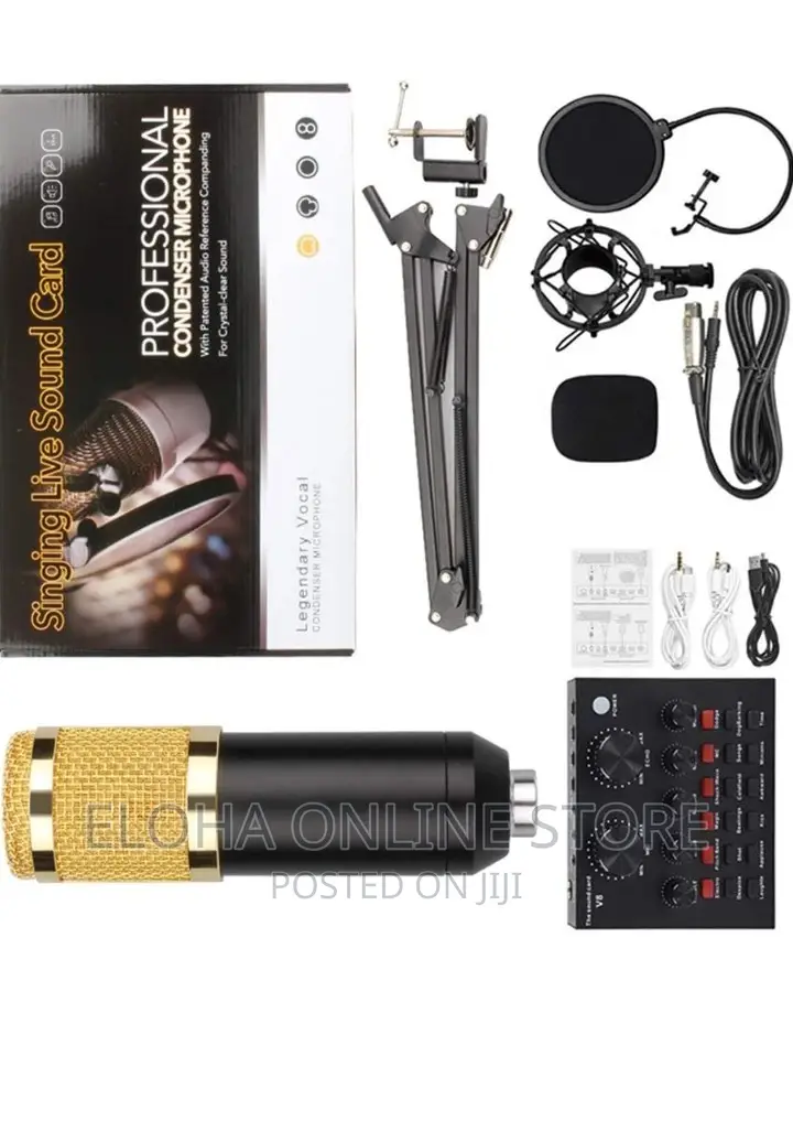 Professional Condenser Microphone
