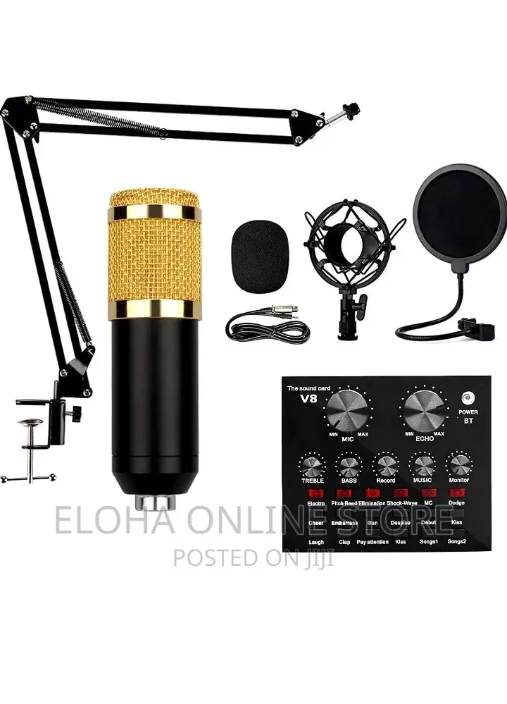 Professional Condenser Microphone