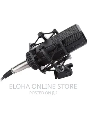 LGT 240 Professional Large Diaphragms Condenser Microphone