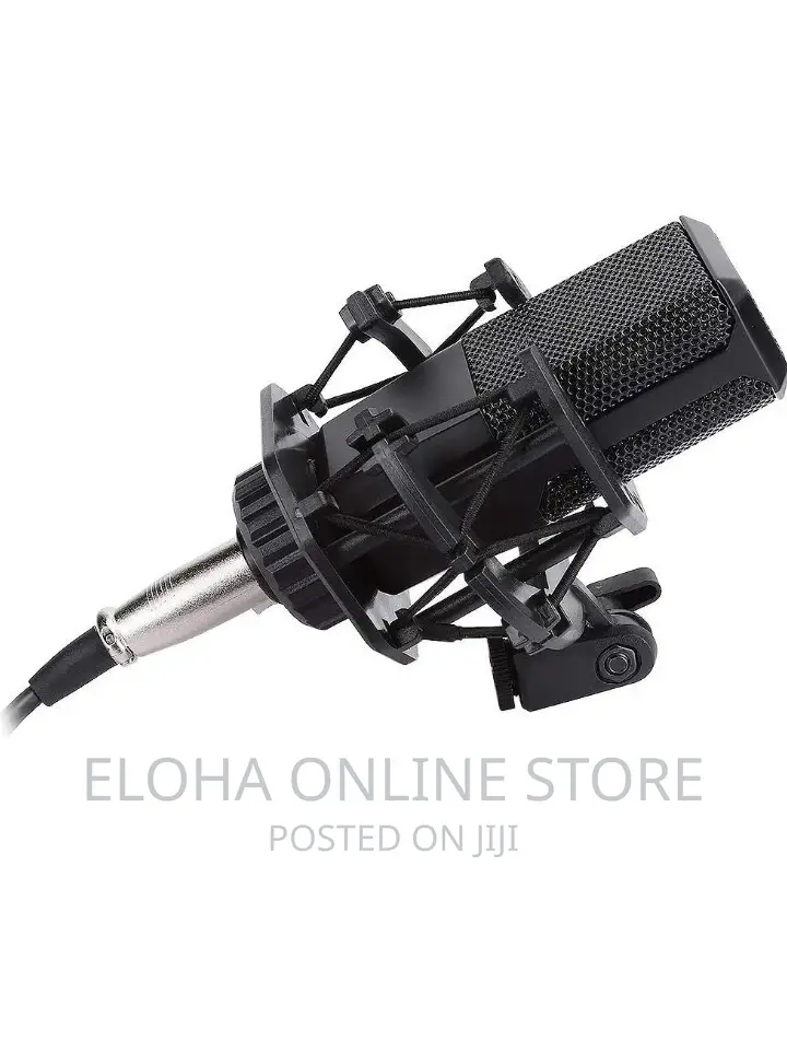 LGT 240 Professional Large Diaphragms Condenser Microphone