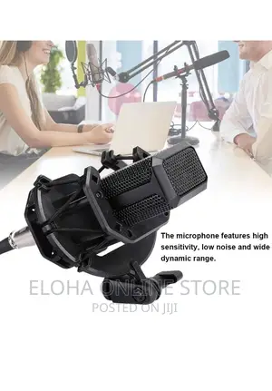LGT 240 Professional Large Diaphragms Condenser Microphone