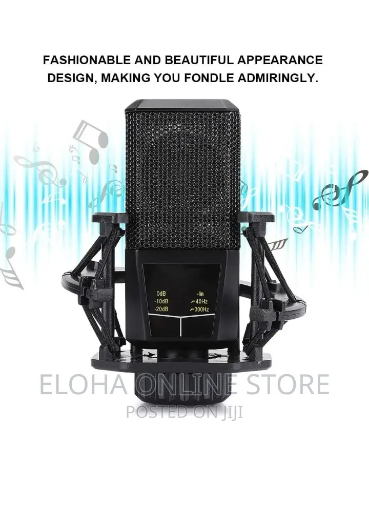 LGT 240 Professional Large Diaphragms Condenser Microphone