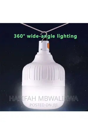 DP Light Rechargeable Bulb With USB- 30W