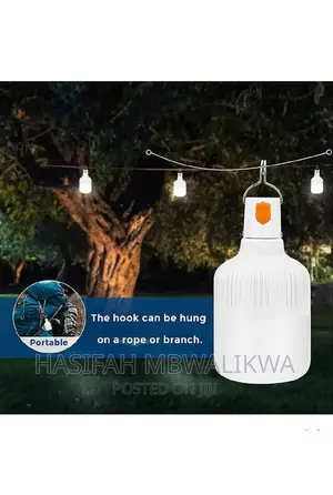 DP Light Rechargeable Bulb With USB- 30W