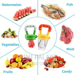 Baby Fruit Feeder