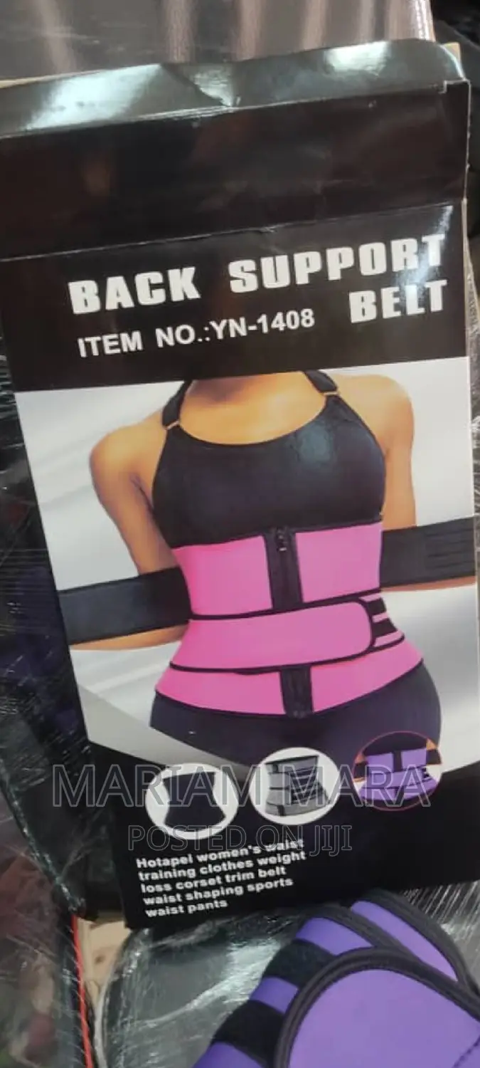 Back Support Belt /Gym Back Support Belt