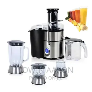 Hoffmans Juicer and Blender 4 in 1