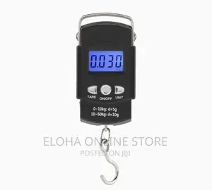 50kg /10kg Portable Travel Scale