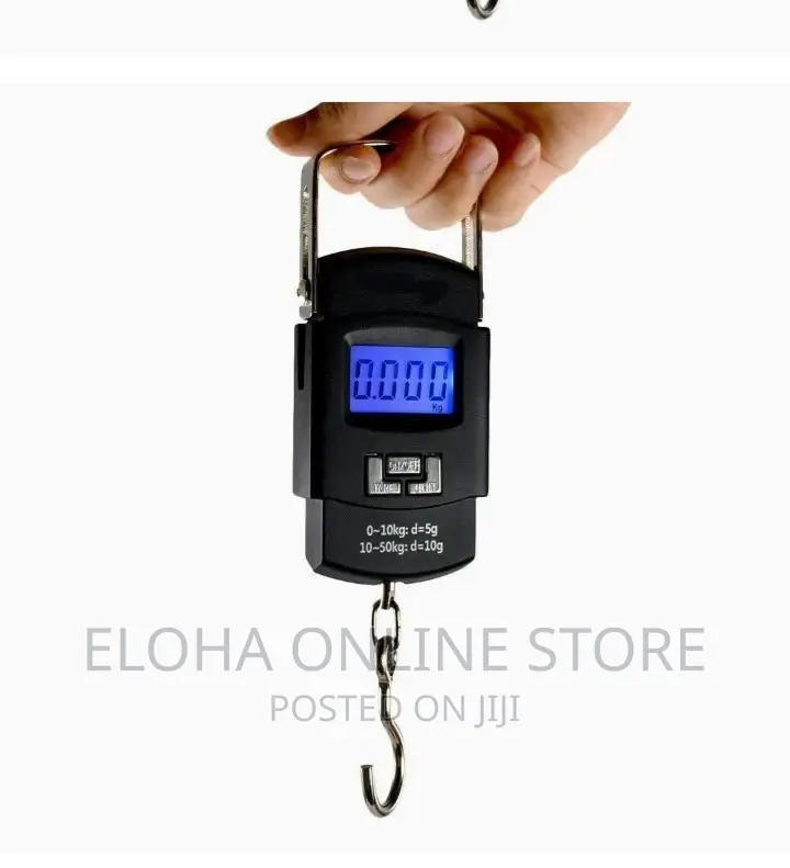 50kg Portable Electric Handy Scale