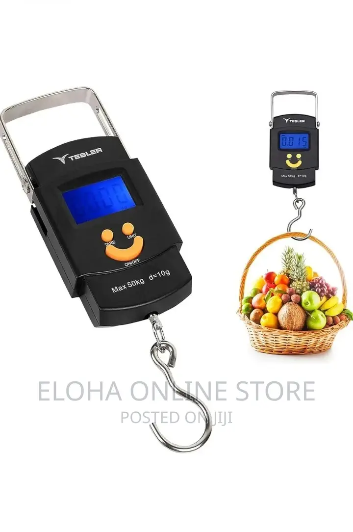 Portable Travel Scale