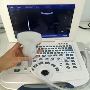 Brand New Laptop Size Ultrasound With a Printer and It’S Bag