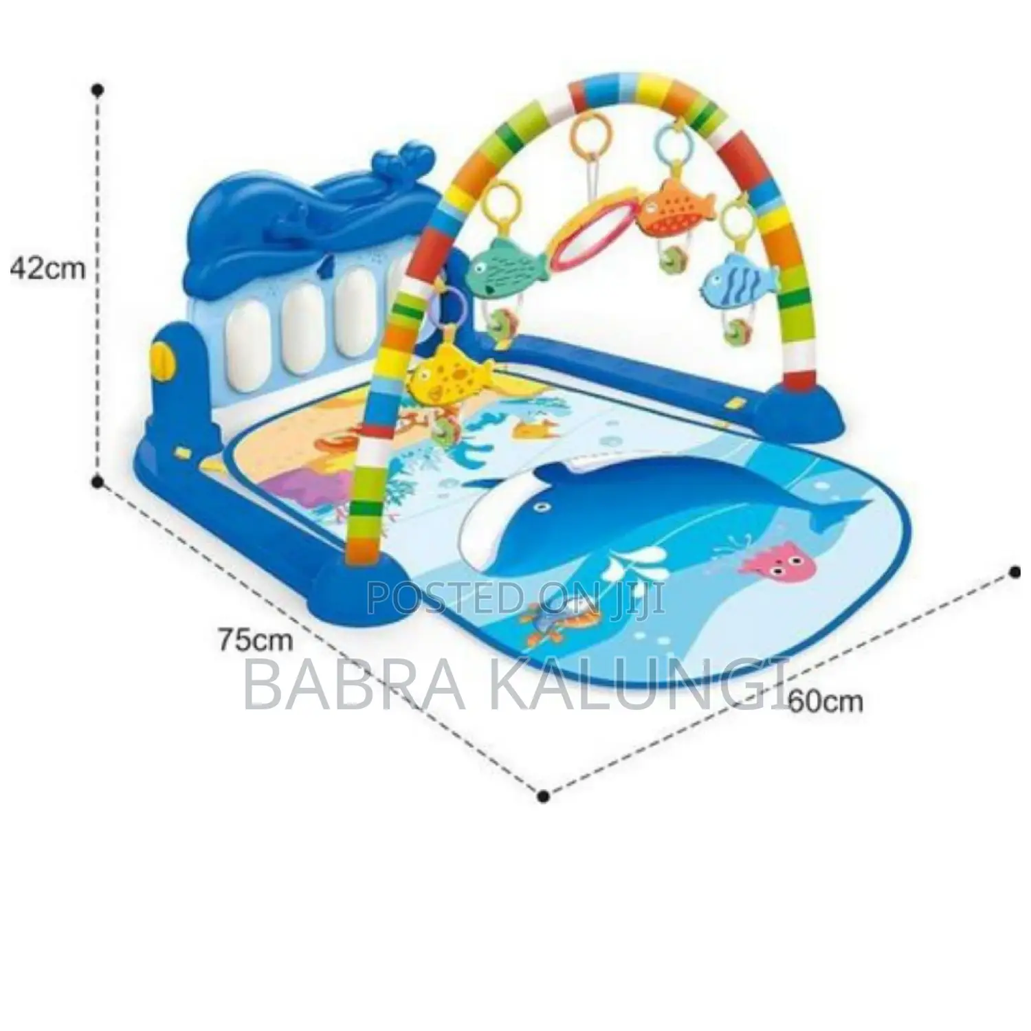 Baby Play Gym Mat