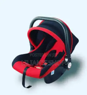 Portable Baby Car Seat