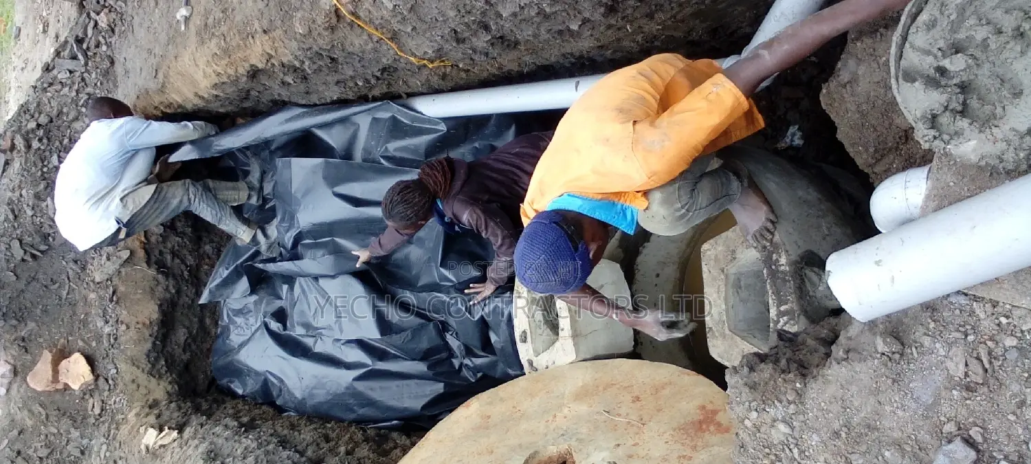 Biodigester Septic Tank System at a Discount for Christmas