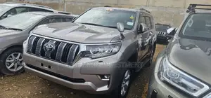 Toyota Land Cruiser Prado 2020 Gray