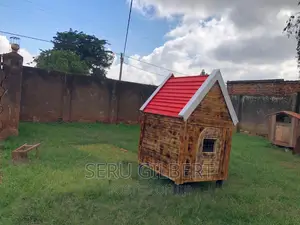 NBVV Nice Dog House