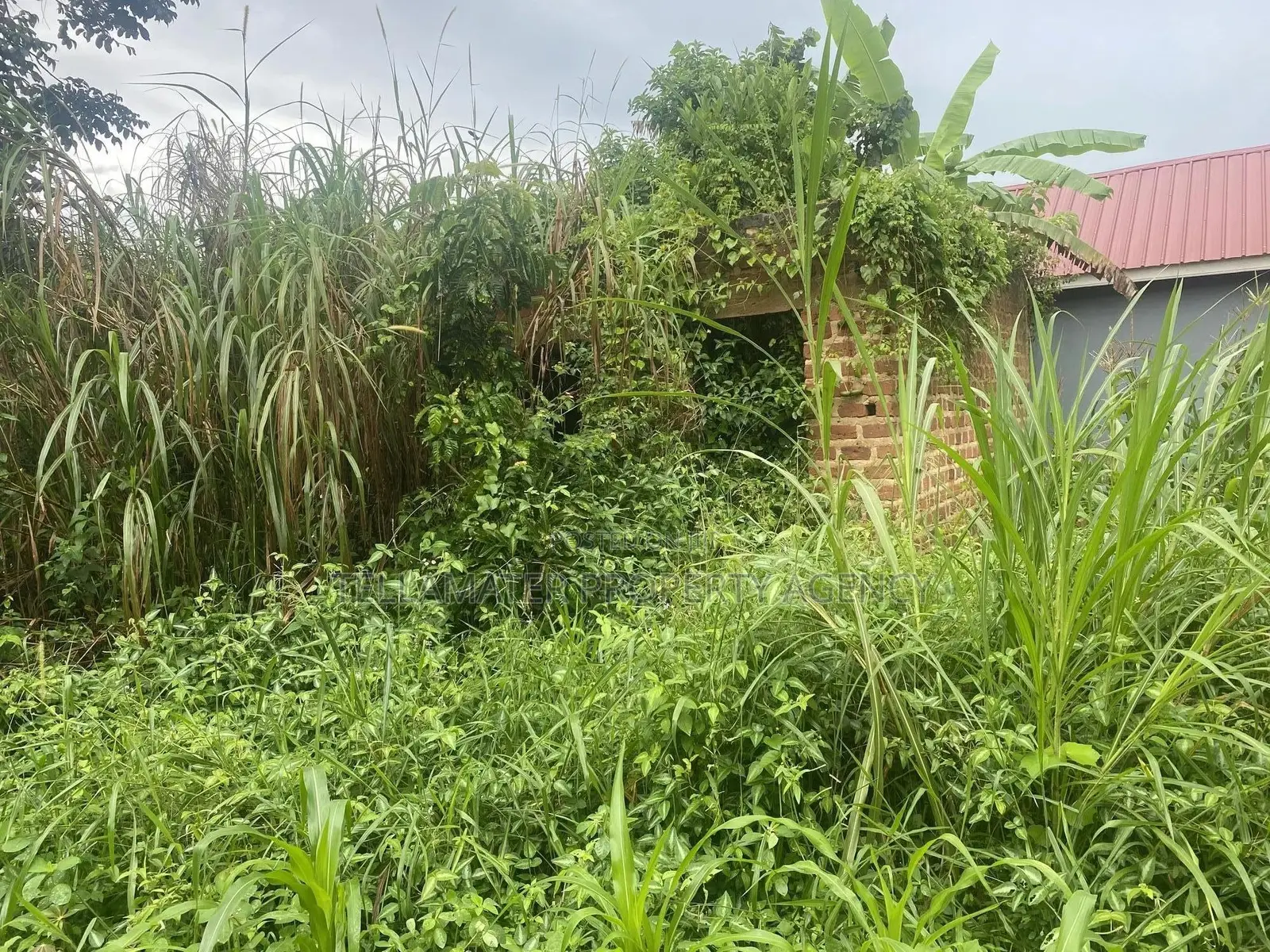 Plot With Rooms/Hostels for Sale at Ku Main Branch Luweero