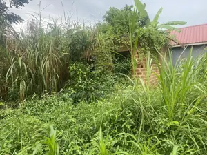 Plot With Rooms/Hostels for Sale at Ku Main Branch Luweero