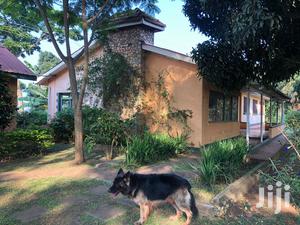Three Bedroom Bungalow in Makindye for Rent