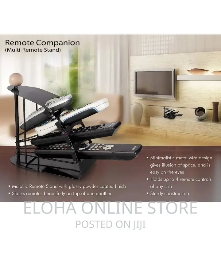 Metallic Remote Control Organizer