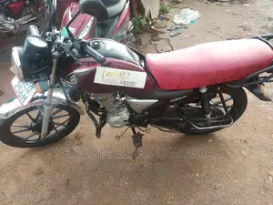 Yamaha Crux 2020 Brown