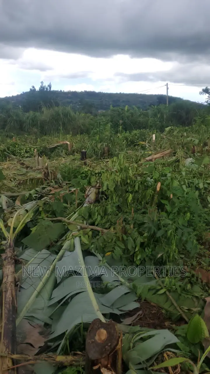 Affordable 100ft X 50 Ft Plots Onquicksale Heart of Katende