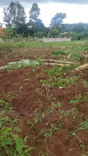 Affordable 100ft X 50 Ft Plots Onquicksale Heart of Katende