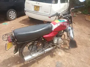 Shineray XY110-A 2018 Red