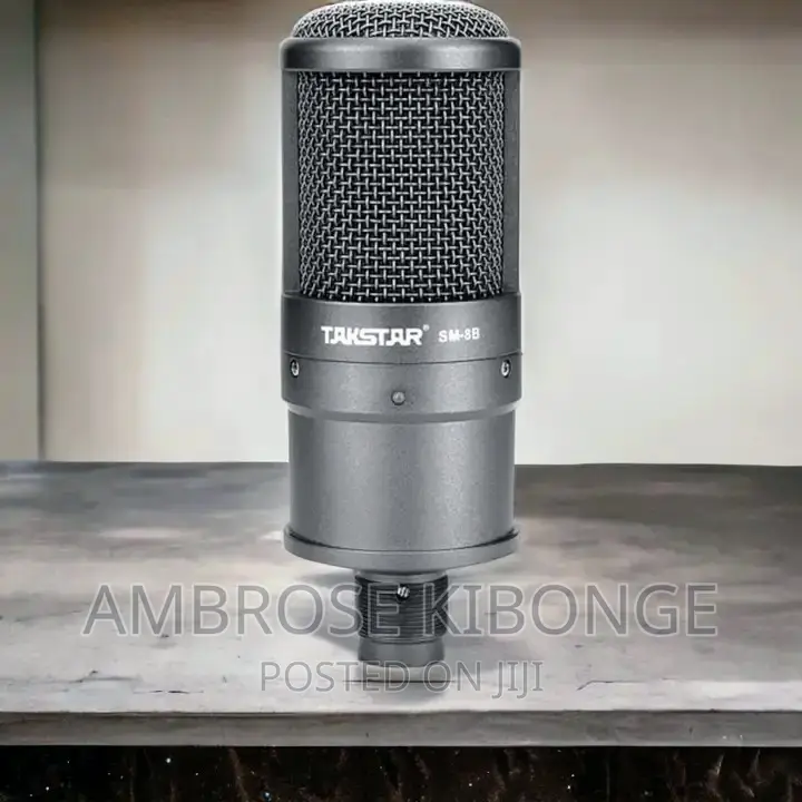 Top Sound Quality TAKSTAR SM-8B Condenser Studio Microphone.