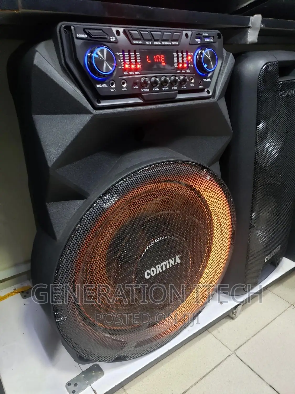 Rechargeable Wireless Speaker - With Mic and USB- Cortina