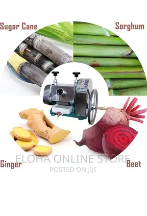 Manual Sugarcane Juice Extractor