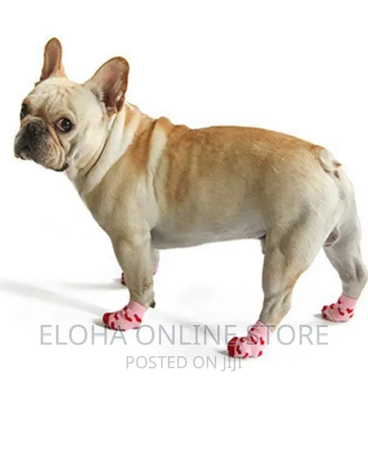 Non-Slip Cat /Puppy Socks