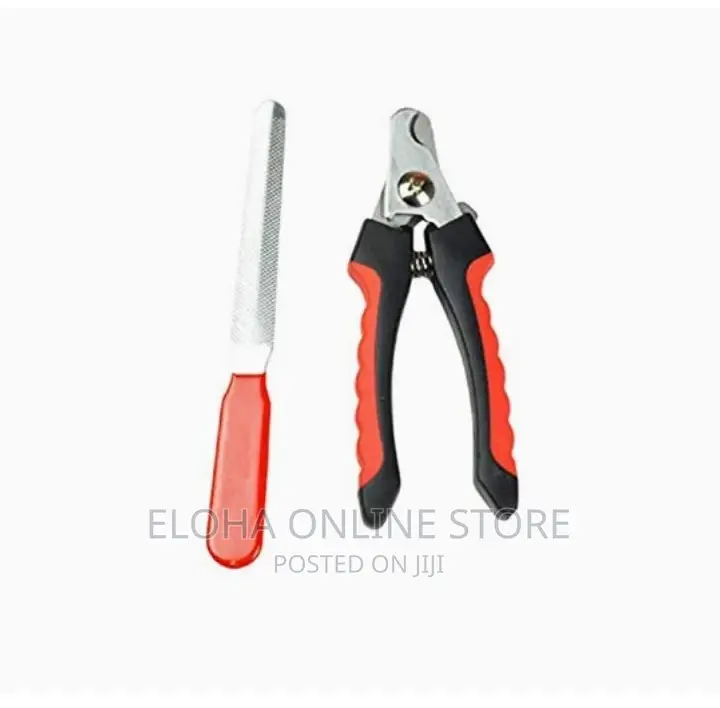 Stainless Steel Pet Nail