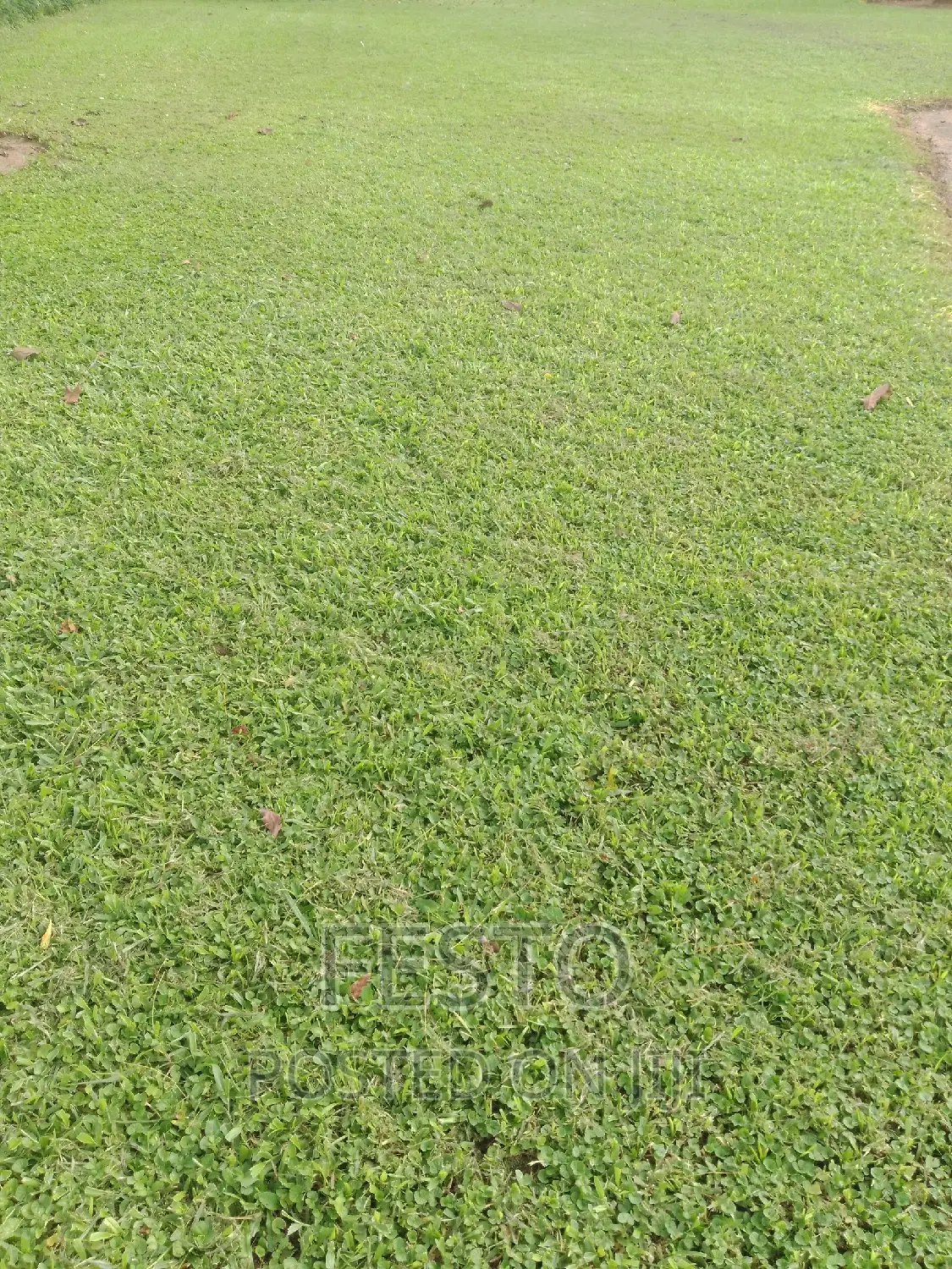 1bdrm Room & Parlour in Hoima for rent