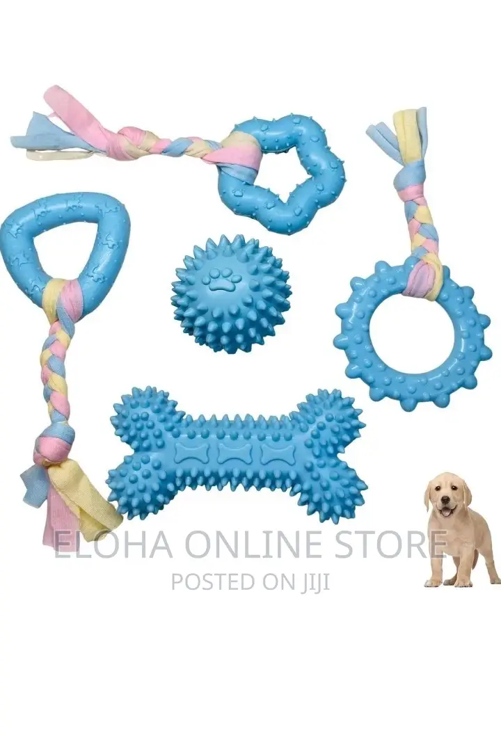 5pcs Cats /Dogs Play Toy