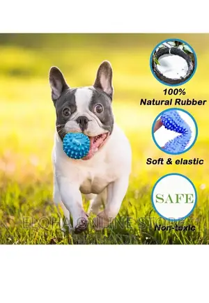 5pcs Cats /Dogs Play Toy