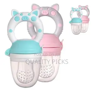 Baby Fruit Feeder