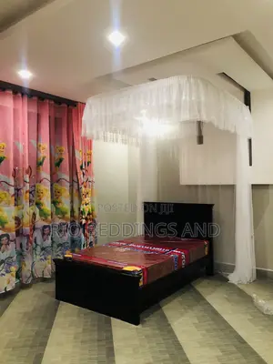 Wall Mount Mosquito Net King Size