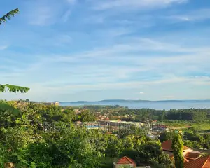 1.3acres Lubowa Kitiko Near Entebbe Express Good Deal Land